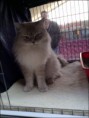 /album/benson/benson-2015-03-10-8-jpg1/